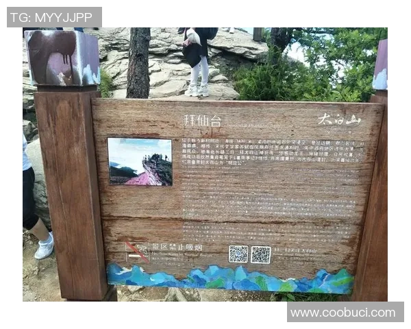 朱俊龙的奋斗历程与成就探索：从普通少年到职场精英的成长之路